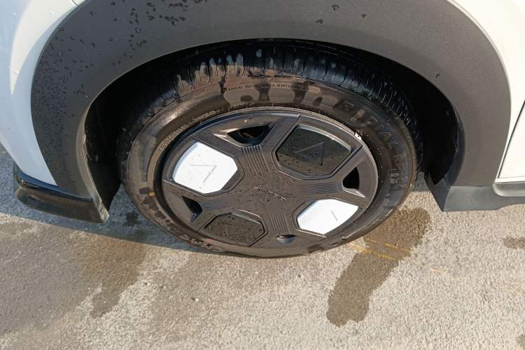 Used  Panda 2024 200km Panda Kart
