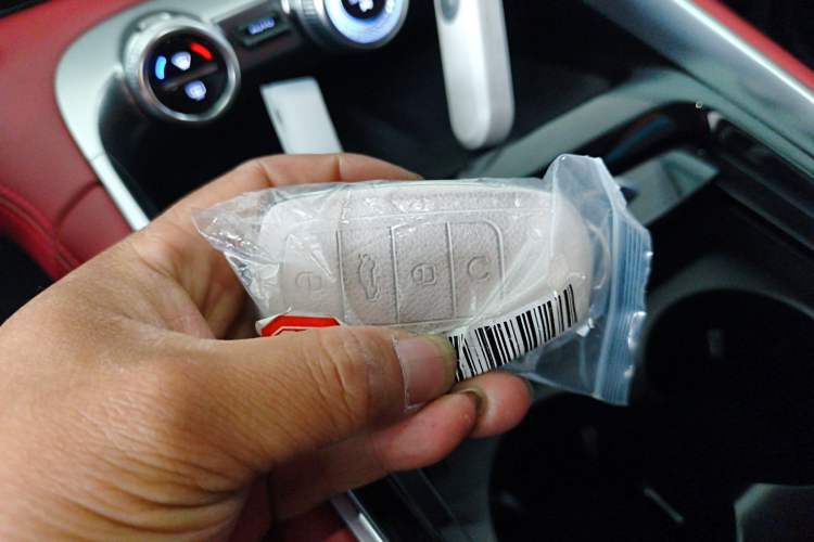 Used  Stellar 2023 400T Four-Wheel Drive Premium Flying Fish Edition