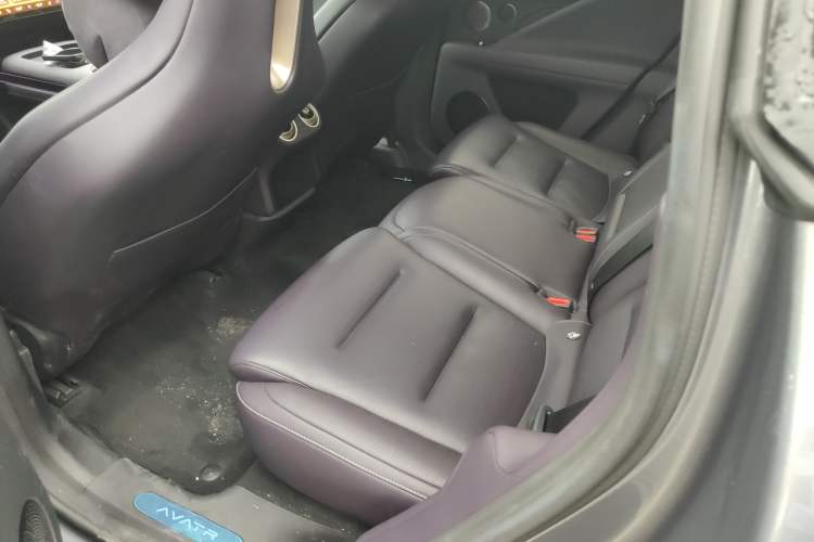 Used  07 2024 Max Extended-Range Edition
