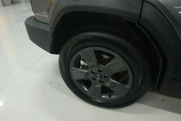 Used  03 2024 501km Two-Wheel Drive Long-Range Version