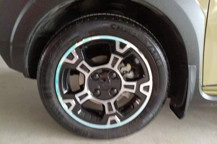 Used  Panda 2024 200km Panda Rider