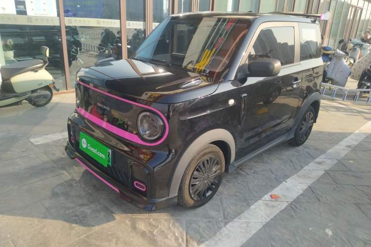 Used  Panda 2024 200km Panda Kart
