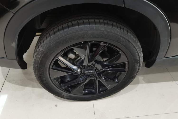 Used Haval H6 2024 2.0T All-Wheel Drive Max