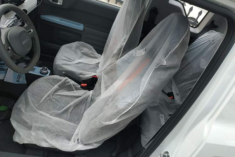 Used  Panda 2024 Panda Mini 200km Endurance Bear
