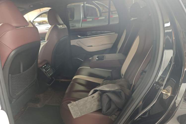 Used Geely Auto Monjaro L 2024 2.0TD High-Power Automatic Two-Wheel Drive Skyline Edition
