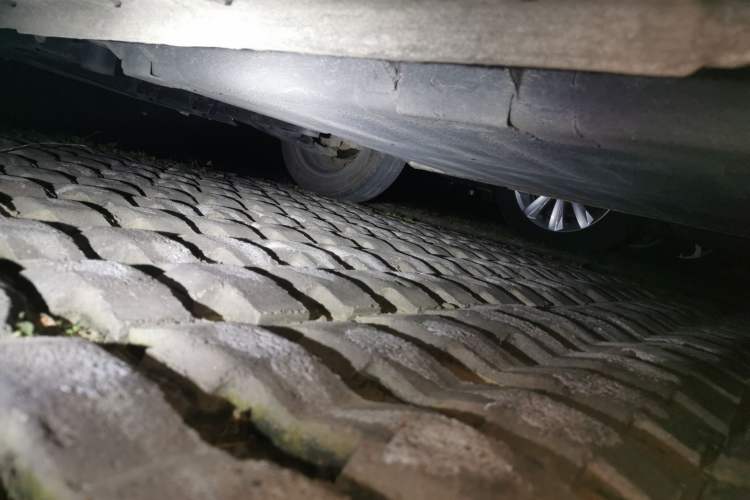 Used  Panda 2023 Panda Mini 200km Endurance Bear
