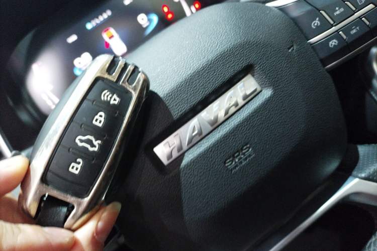 Used Haval H6 2021 National Trend Edition 1.5T Automatic Champion Version
