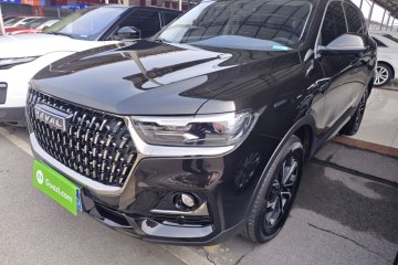 Used Haval H6 2023 National Trend Edition 1.5T Automatic Urban Version