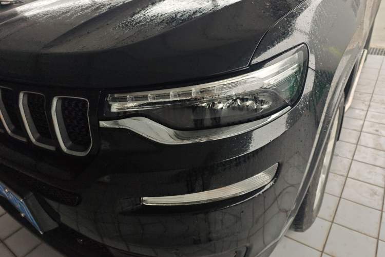 Used  Commander 2018 2.0T Two-Wheel Drive Enjoy Edition China V