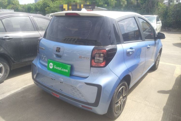 Used SOL E10X 2022 Flower Fairy Design Four-Leaf Clover
