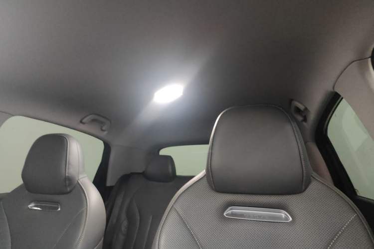 Used  Geome 2025 310km Dream Edition
