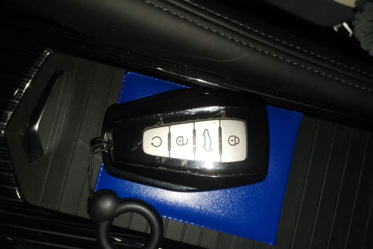 Used Geely Auto Monjaro L 2024 2.0TD DCT EVO Two-Wheel Drive Long-Range Version
