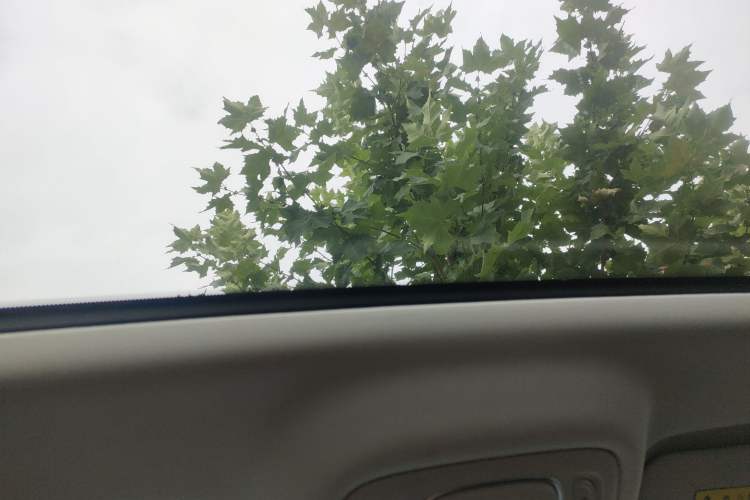 Used Roewe RX5 2023 1.5T Elite Edition
