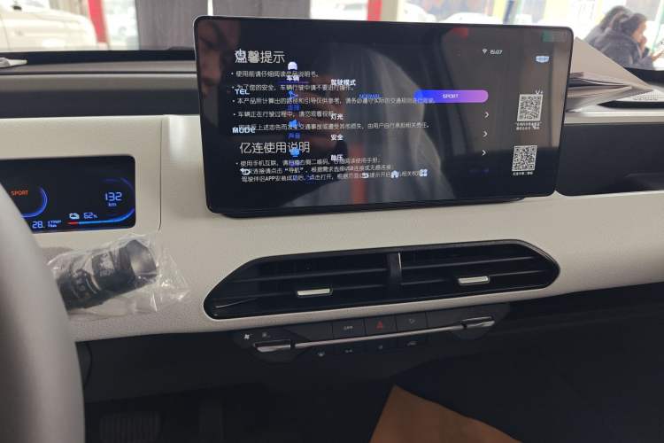 Used  Panda 2024 Panda Mini 200km Endurance Bear