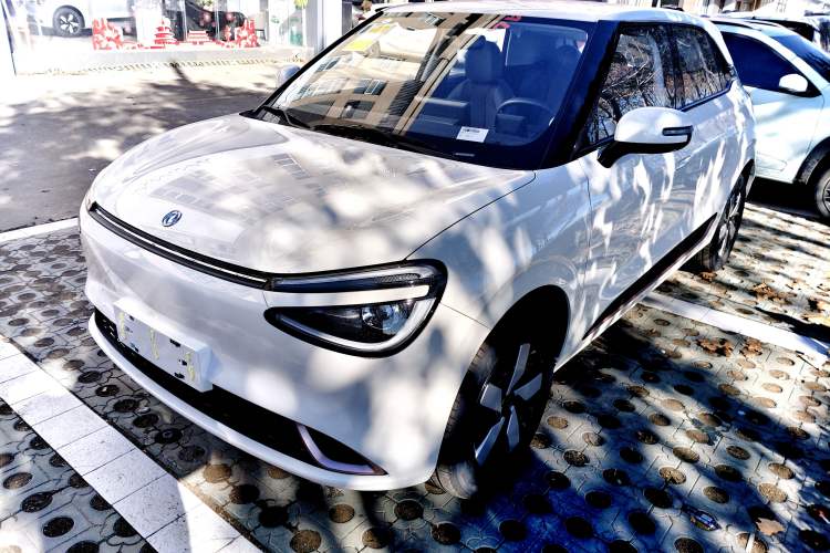 Used Dongfeng NAMMI 01 