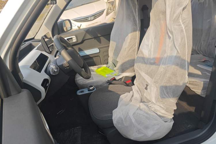 Used  Panda 2024 Panda Mini 200km Endurance Bear
