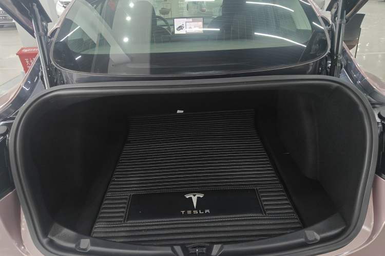 Used Tesla Model 3 2019 Standard Range Rear-Wheel Drive Upgraded Version (52 kWh)
