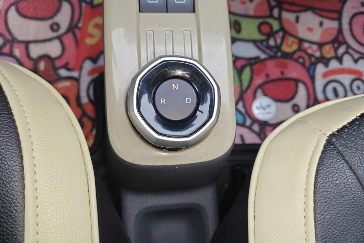 Used  Panda 2024 200km Panda Rider