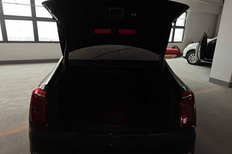 Used Hongqi H9 2020 2.0T Smart Connect Flagship Edition