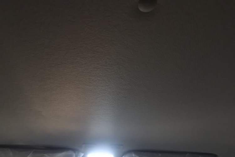 Used  Panda 2024 Panda Mini 200km Endurance Bear
