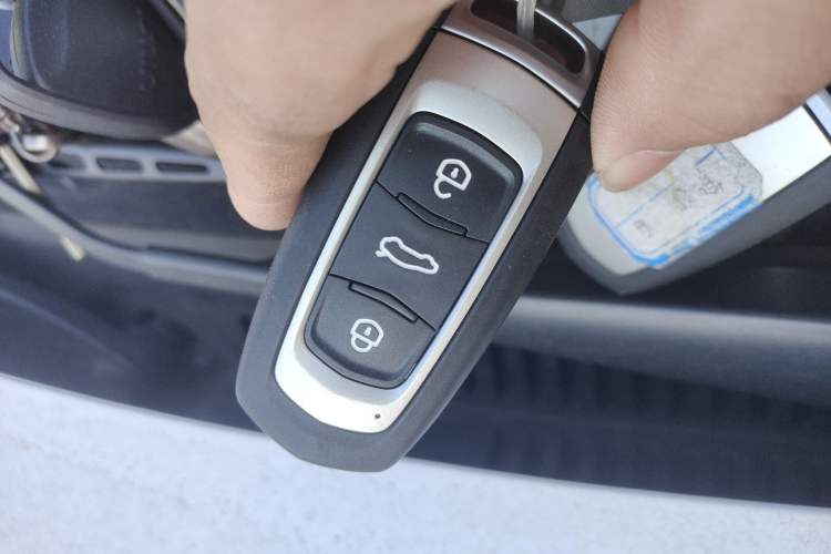 Used  Panda 2024 Panda Mini 200km Endurance Bear
