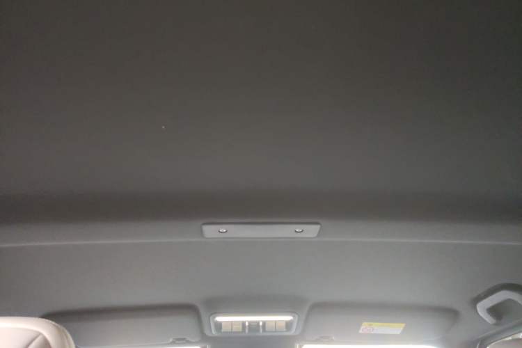 Used  V23 2025 401 Two-Wheel Drive Intelligent Driving Version