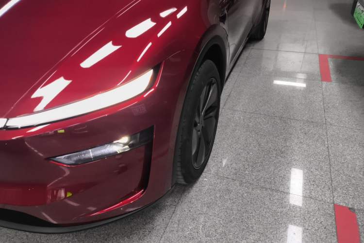 Used Tesla Model Y 