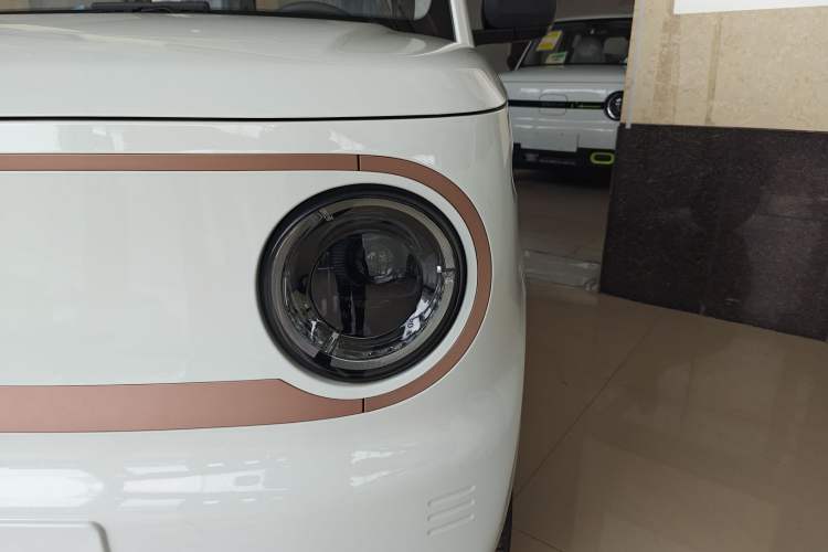 Used  Panda 2024 Panda Mini 200km Endurance Bear