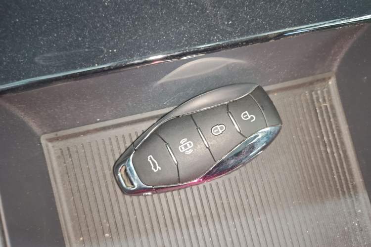 Used Hongqi EH7 2024 820 Pro
