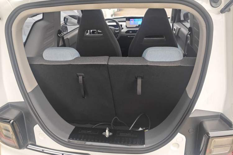 Used  Panda 2024 Panda Mini 200km Endurance Bear