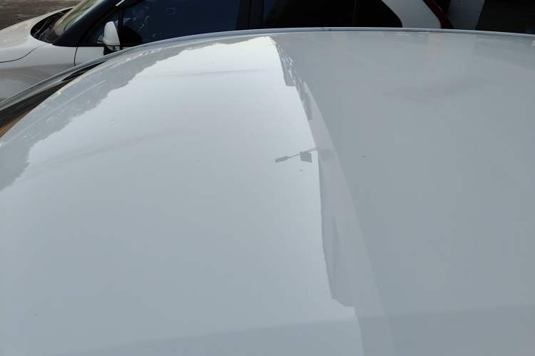 Used Toyota Corolla 2019 Dual-Engine 1.8L E-CVT GL-i Pioneer Edition