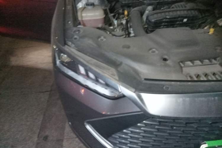 Used BYD Qin PLUS 2023 Champion Edition DM-i 120KM Leading Model