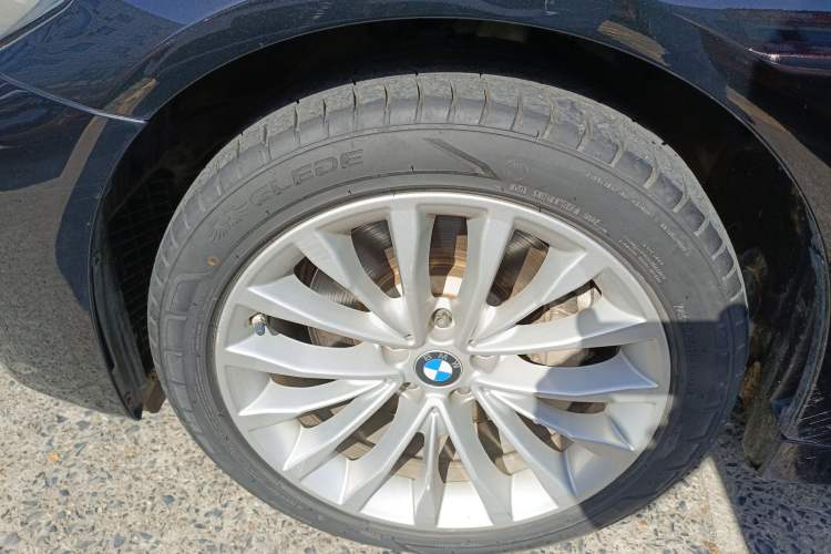 Used BMW 5 Series New Energy 2021 535Le Luxury Package