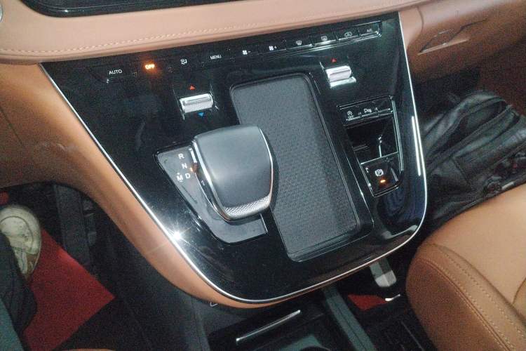 Used Hongqi HQ9 2024 2.0T Business Edition