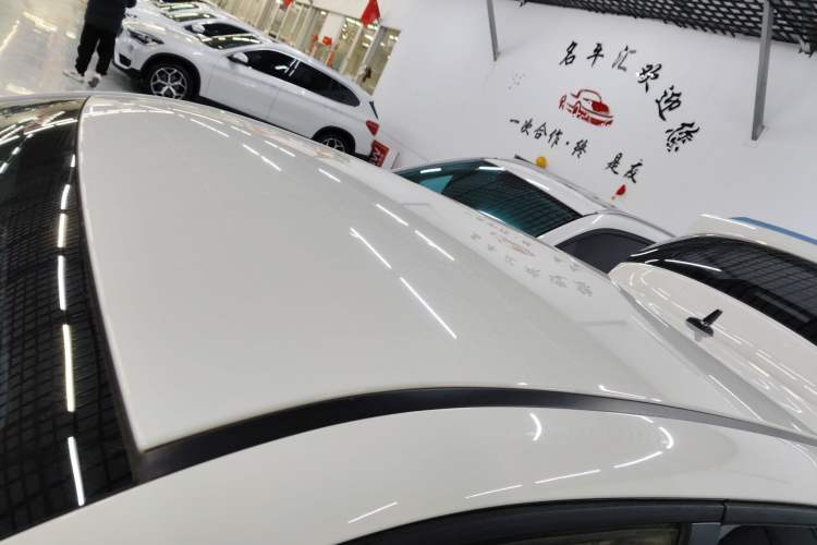 Used ORA Black Cat 2019 351 km Family Edition
