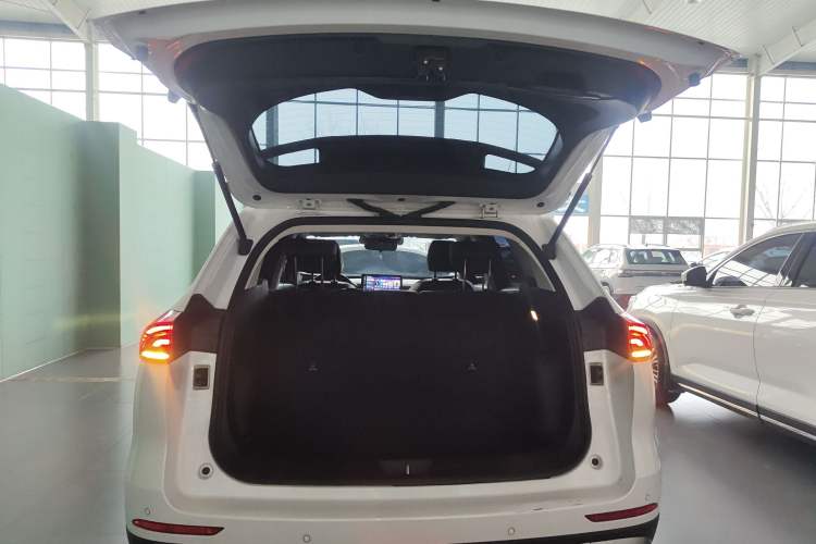 Used Haval H6 2023 National Trend Edition 1.5T Automatic Champion Version