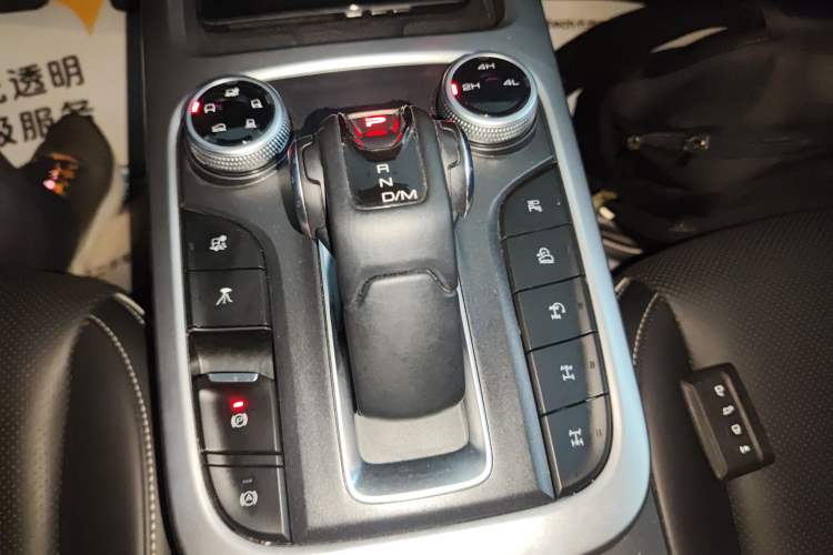 Used Tank 300 2024 2.0T Conqueror
