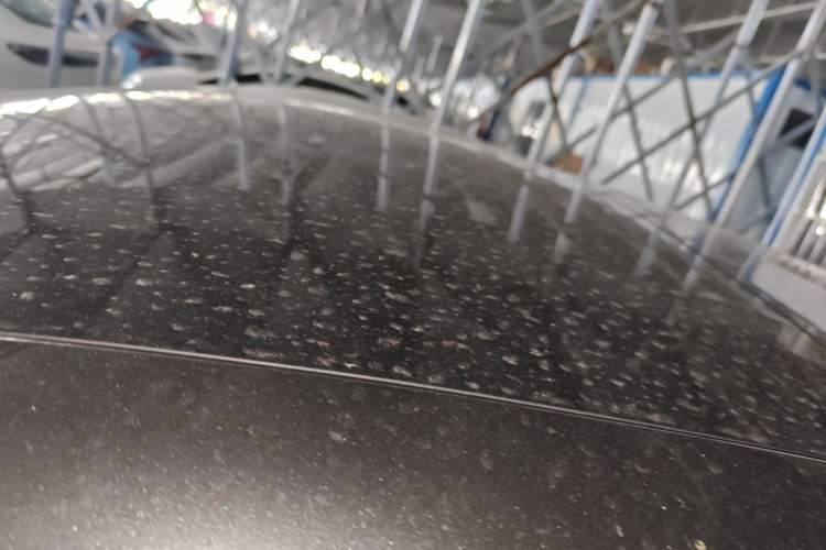 Used  11 2022 Long-Range Dual-Motor Luxury Edition 4 Seats
