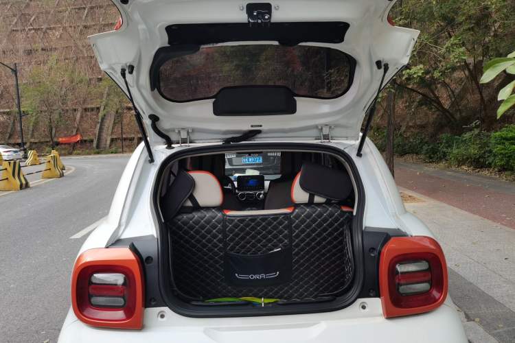 Used ORA Black Cat 2019 351 km Goddess Edition
