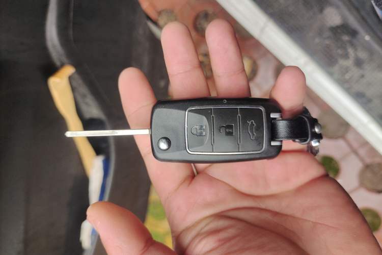 Used FORTHING Lingzhi 2020 M5 1.6L Practical Model