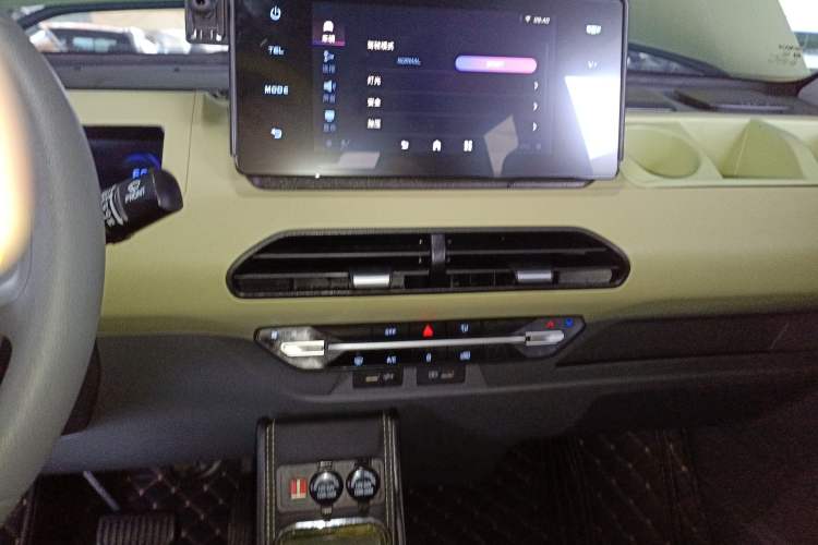 Used  Panda 2024 200km Panda Rider