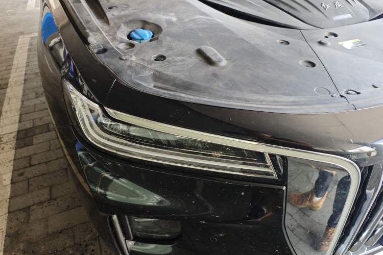 Used Hongqi H9 2022 2.0T Smart Connect Flagship Edition
