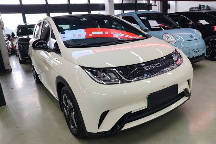 Used BYD Dolphin 2021 405 km Fashion Edition
