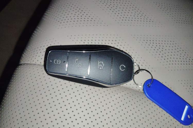 Used BYD Dolphin 2024 Honor Edition 420km Freedom Version
