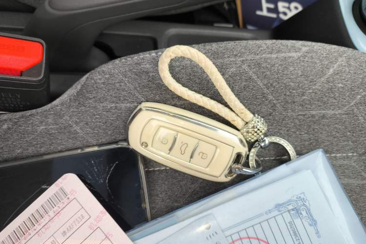 Used  Panda 2023 Panda Mini 120km Cute Bear
