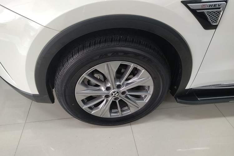 Used Venucia Star 2020 260T Automatic 48V Mild Hybrid Turbocharged Star Edition
