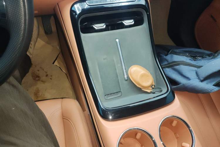 Used AION V 2024 Aion Tyrannosaurus 650 LiDAR Edition
