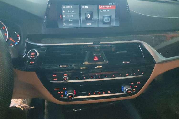 Used BMW 5 Series 2018 528Li Launch Special Edition
