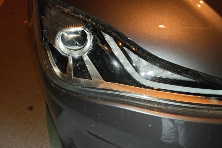 Used NETA V 2021 Long-Range Entertainment Edition