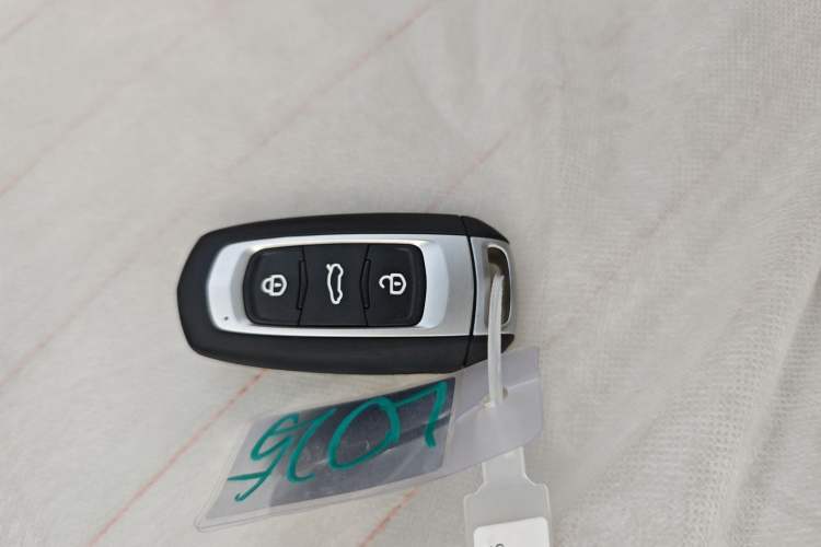 Used  Panda 2024 Panda Mini 200km Endurance Bear